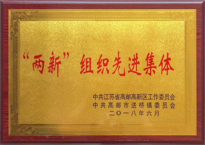 兩新組織